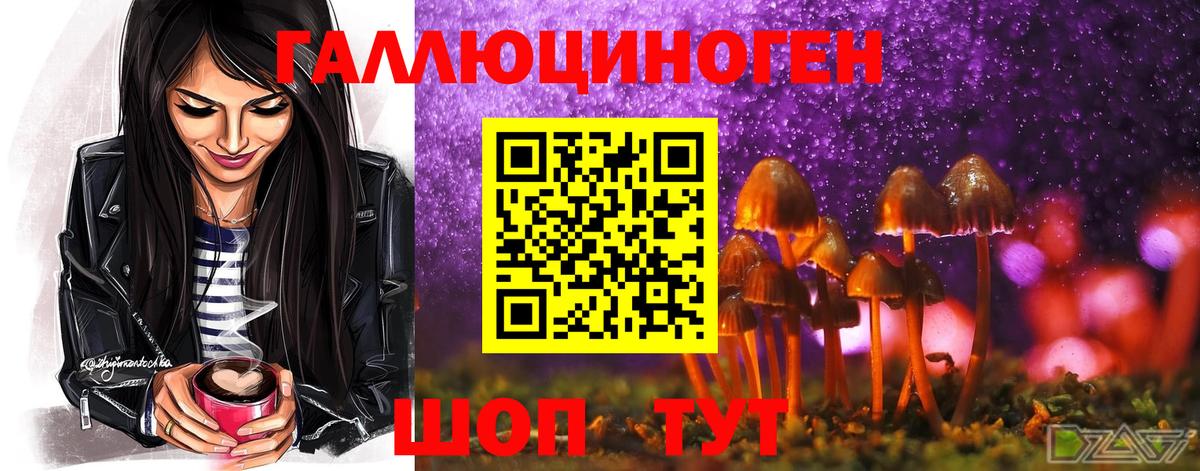 Березники  Псилоцибиновые грибы Magic Shrooms  где продают   Вход с VPN  Псилоцибиновые грибы GOLDEN TEACHER 