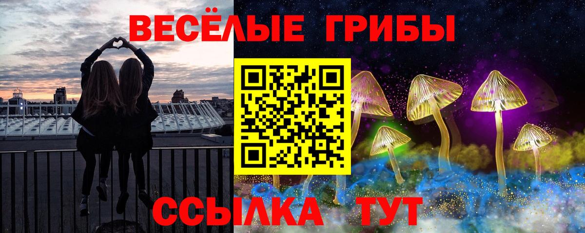 Галлюциногенные грибы Cubensis Березники